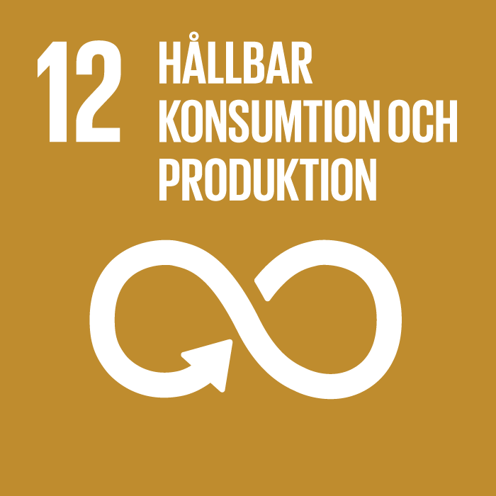 Globala målen - 12. Hållbar konsumtion och produktion